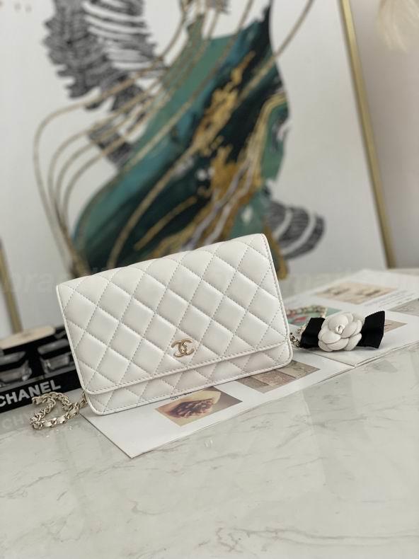 Chanel Handbags 255